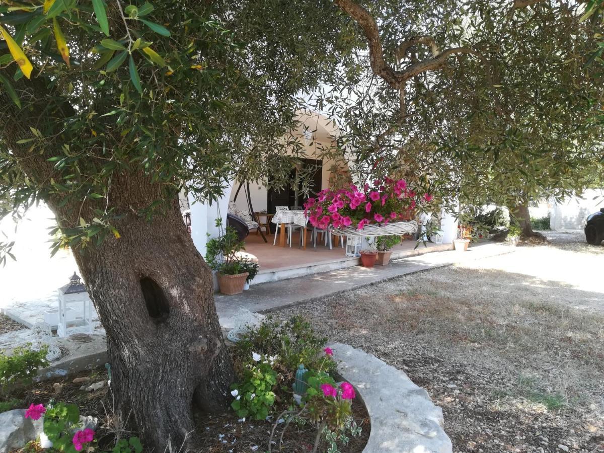 Trullo Alessandro E Villa Raffaela San Vito dei Normanni Buitenkant foto