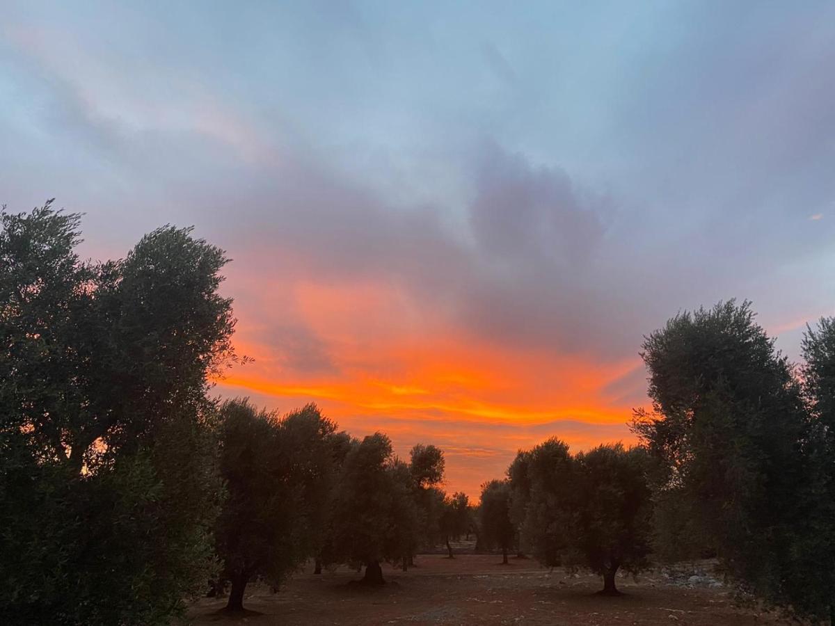Trullo Alessandro E Villa Raffaela San Vito dei Normanni Buitenkant foto