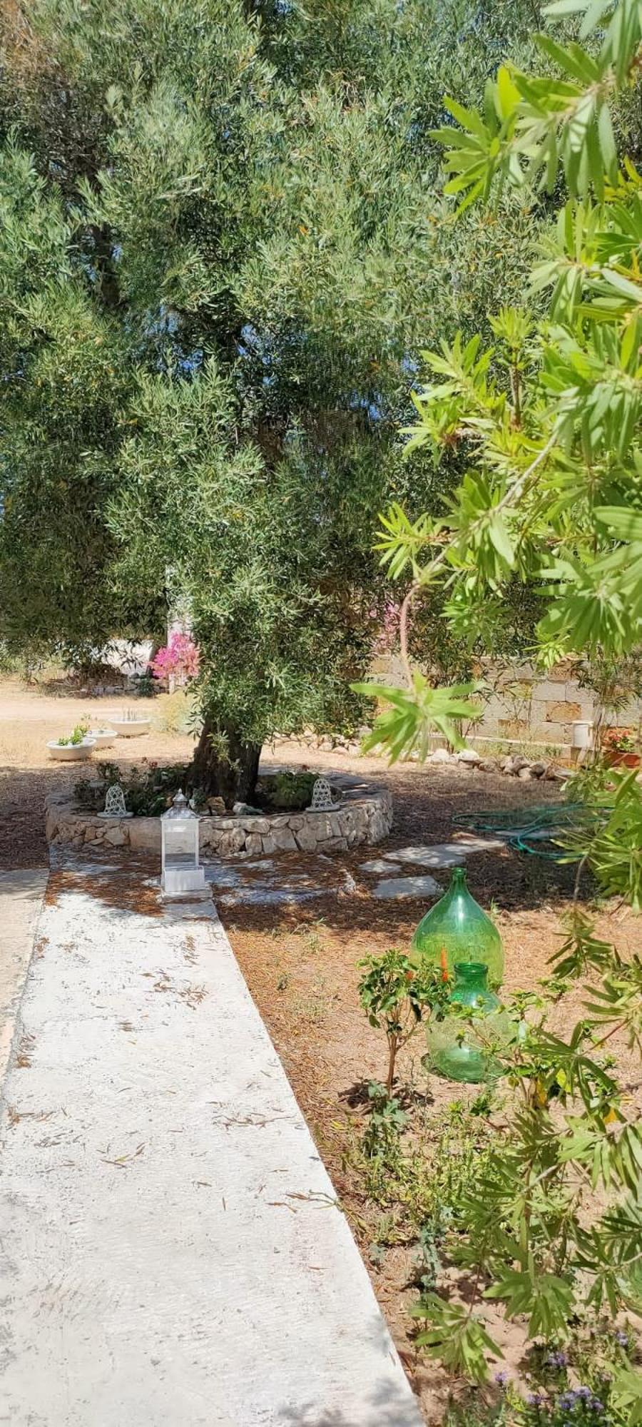 Trullo Alessandro E Villa Raffaela San Vito dei Normanni Kamer foto